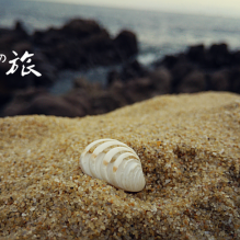 最好的时光