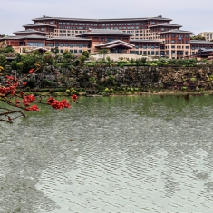 右江木棉红