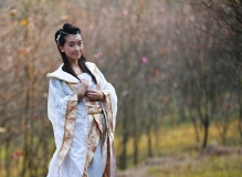 玉兰仙子不见花