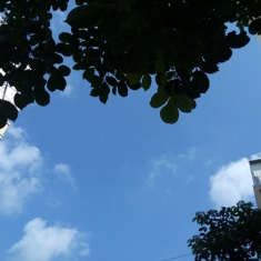 蓝天景物