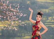 油菜花之中国风