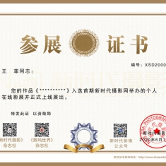 2021年新时代摄影网在线影展申报正式启动