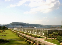 八桂田园