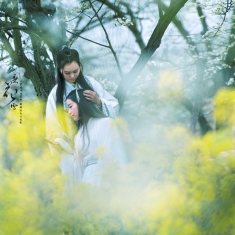 《梨花雪》