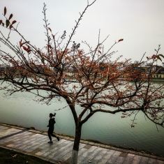 春练