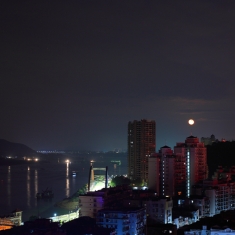 蝙蝠侠出现的红月之夜