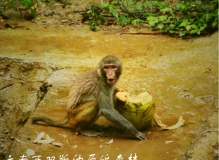 2013年7月5日~7月12日昆明、大理、丽江、版纳8日游【下】