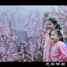 春之韵 －摄于龙脊梯田