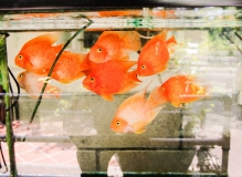 新人报道。