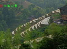 龙胜金坑风光