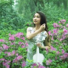 雨季茶花园的 春姑娘