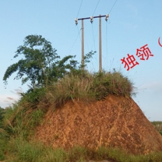 独领（岭）风骚
