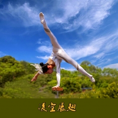 凌空展翅