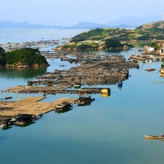 遇见那片浅蓝——霞浦滩涂