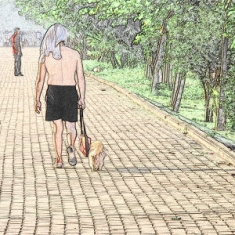 凝固的街景