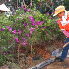建设花样南宁