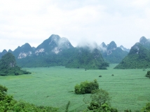 乡村