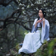 梨花深处有笛声