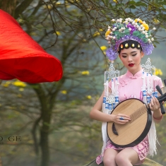 黄风铃树下的诉说