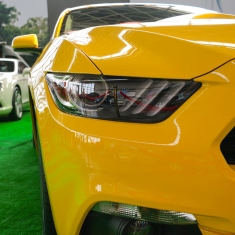 2015广西汽车文化节拍车&车模