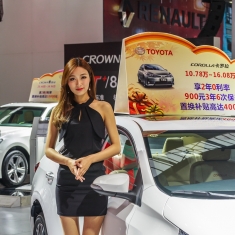 2017东盟车展车模什锦