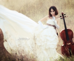 【European Wind】