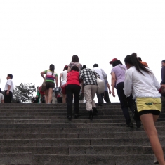 登泰山记 3