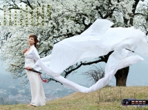 梨花吟