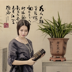 兰苑飘韵