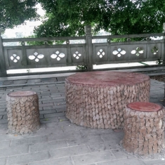 清晨河边散步（三）