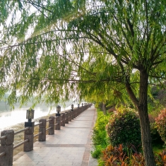 河边散步