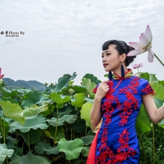 荷塘悦色