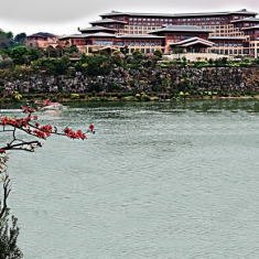 右江春色浓