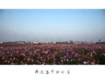 金穗摄影大赛参赛作品