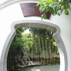 听竹