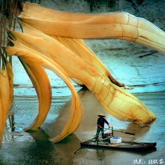 凉风徐徐-秋暖意浓...