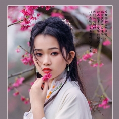 人面樱花相映红