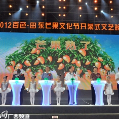2012百色·田东芒果文化节开幕式文艺晚会华彩上演