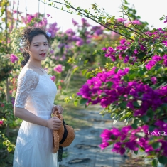 浪漫花语