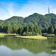 美丽北流