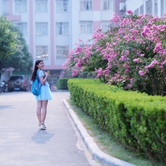 花开百日，紫薇别样红