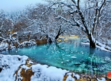 黄龙印象之三————雪映黄龙钙华池————