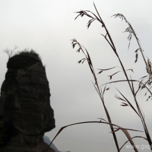 上山