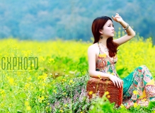 2013年度第一季（Ⅱ）——油菜花香3
