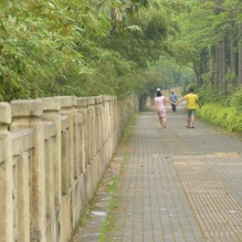 谷雨。我们牵手吧。。。。。