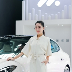 2024年12月东盟车展