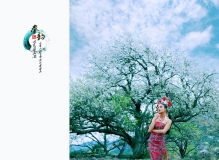 春韵/又见梨花开