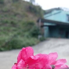 元宵节快乐