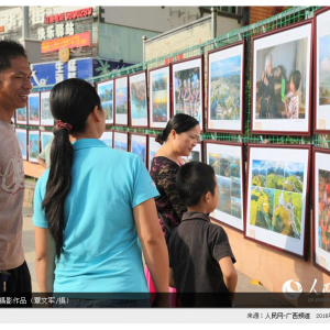 大化奇石书画摄影作品展精彩纷呈