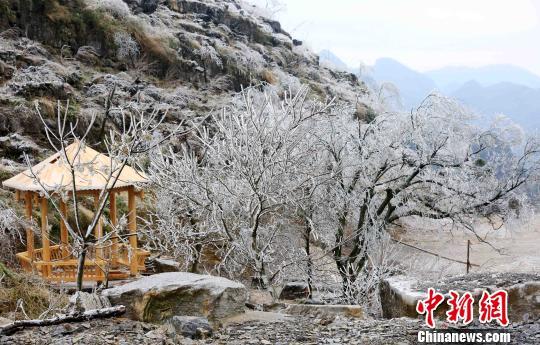 广西柳州市融安县东起乡崖脚村铜板屯。　谭凯兴　摄